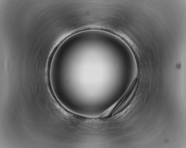 X0000096390902200801241259