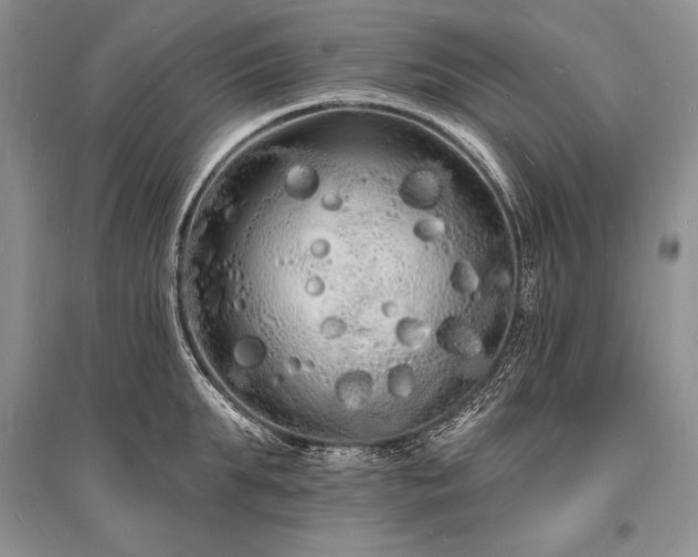 X0000096390903200801241259