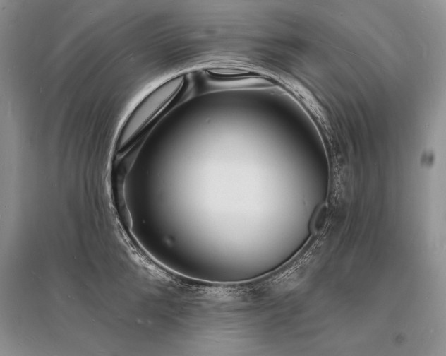 X0000096390904200801241259