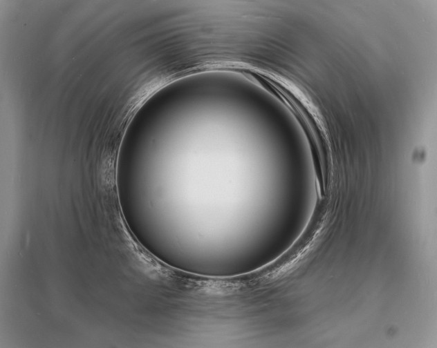 X0000096390905200801241259