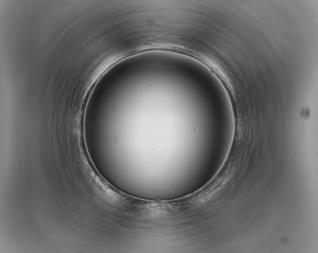 X0000096390906200801241259
