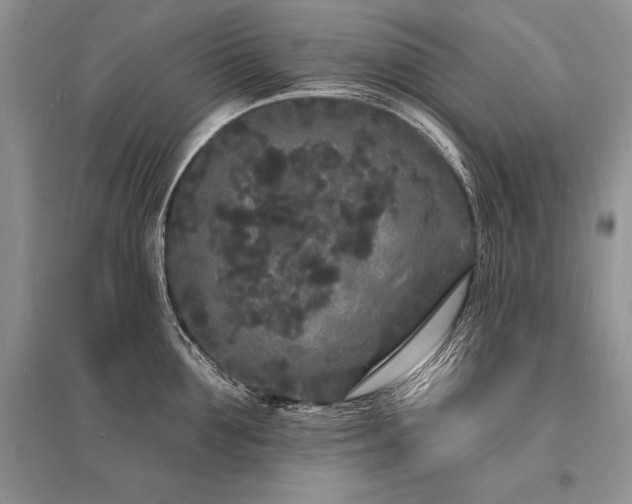 X0000096390907200801241259
