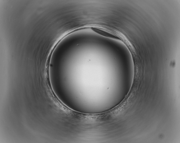 X0000096390908200801241259