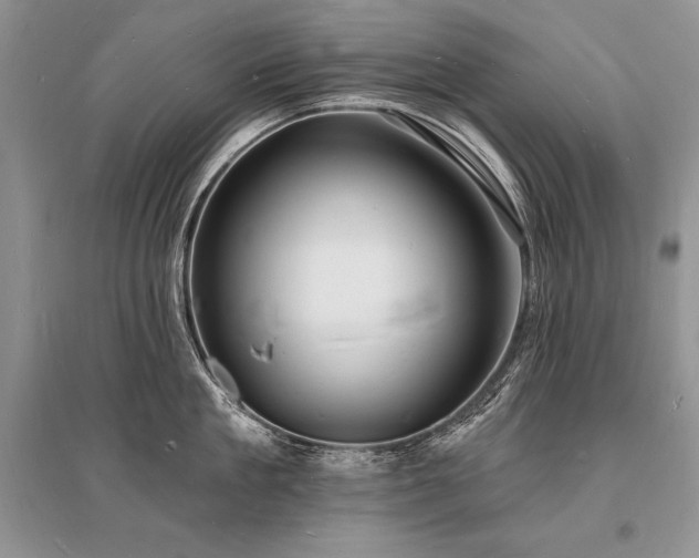 X0000096390909200801241259