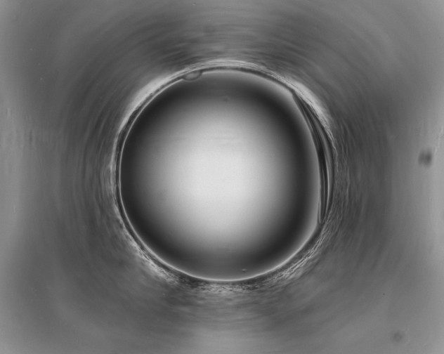 X0000096390910200801241259