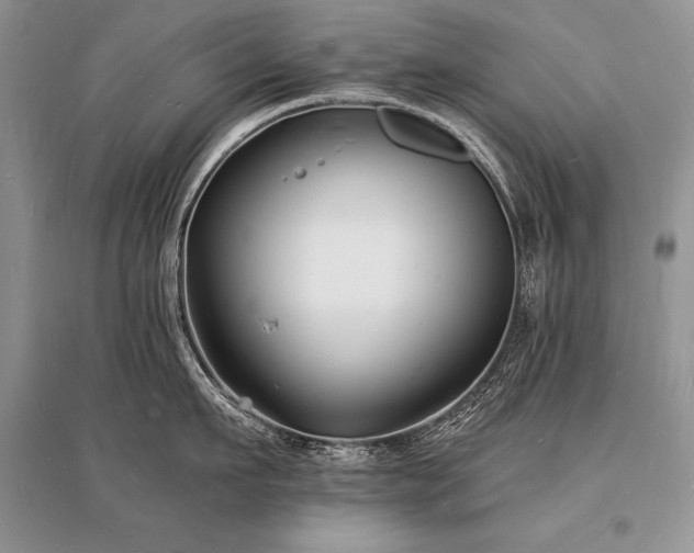 X0000096390911200801241259