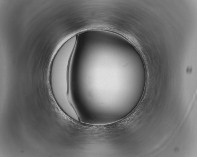 X0000096390912200801241259