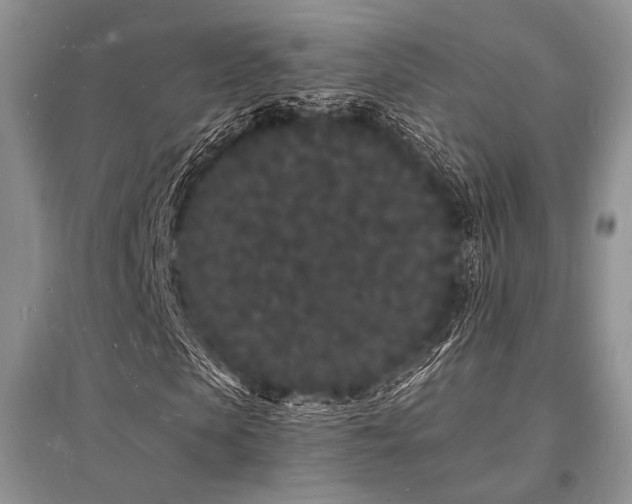 X0000096390913200801241258
