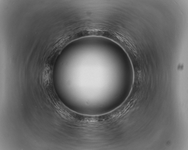 X0000096390914200801241258