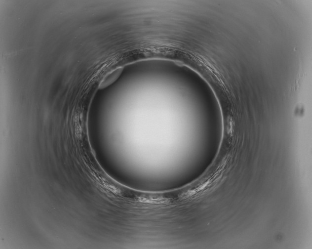 X0000096390915200801241258