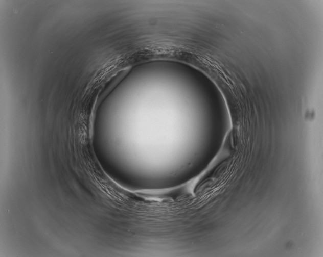X0000096390916200801241258