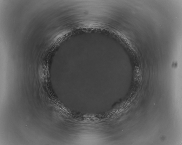 X0000096390918200801241258