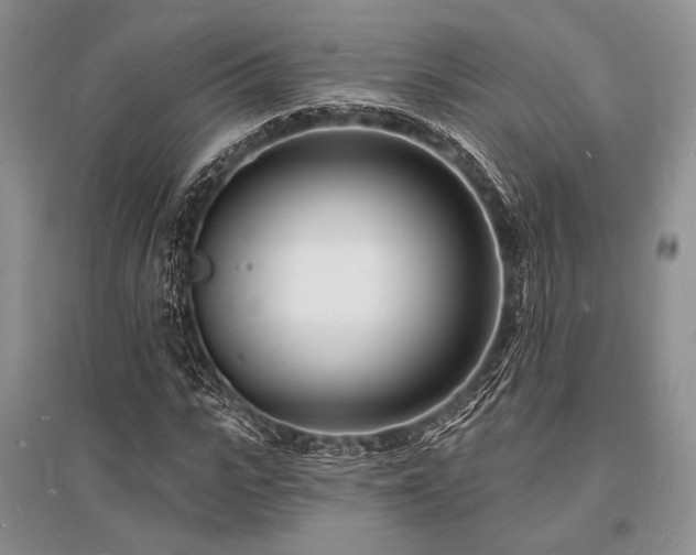 X0000096390919200801241258