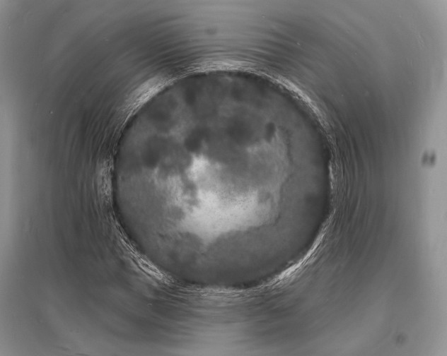 X0000096390921200801241258