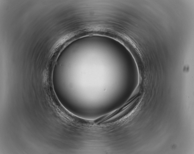 X0000096390922200801241258