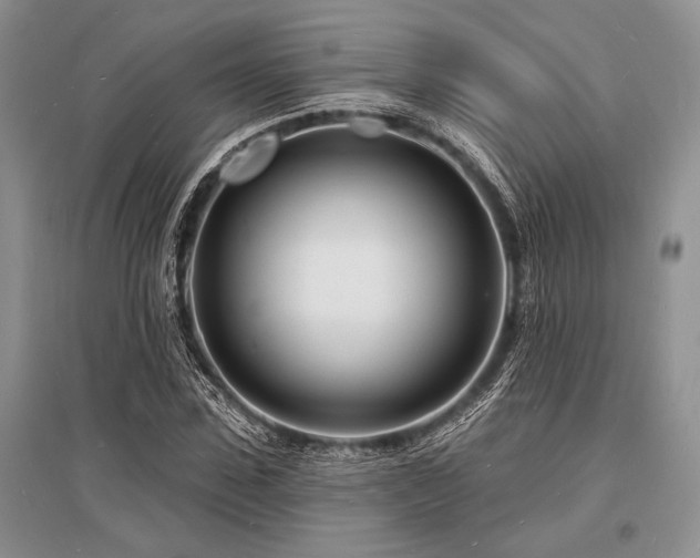 X0000096390923200801241258