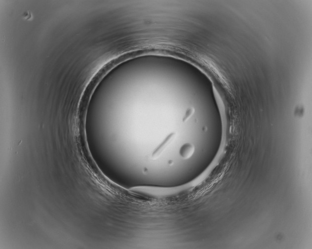 X0000096390924200801241258