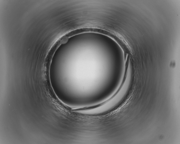 X0000096390926200801241258