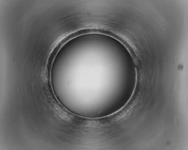 X0000096390927200801241258