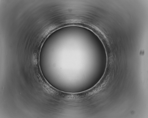 X0000096390929200801241258