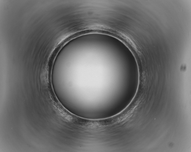 X0000096390931200801241258