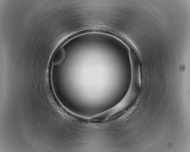 X0000096390932200801241258