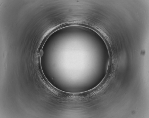 X0000096390933200801241258