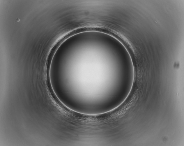 X0000096390935200801241259
