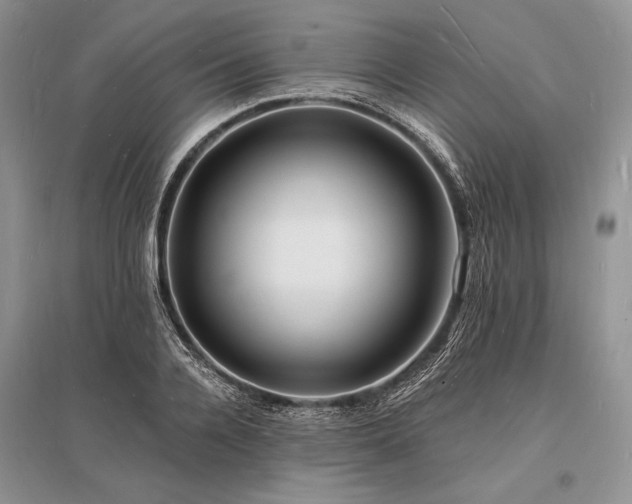 X0000096390936200801241259