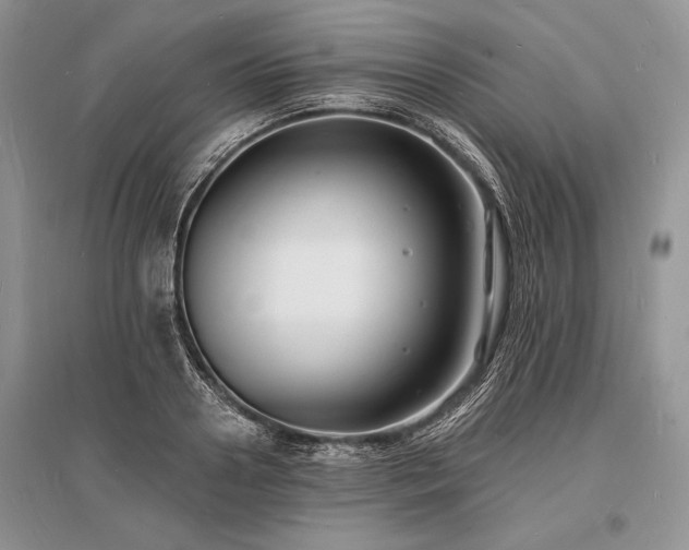 X0000096390938200801241259