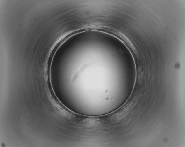 X0000096390939200801241259