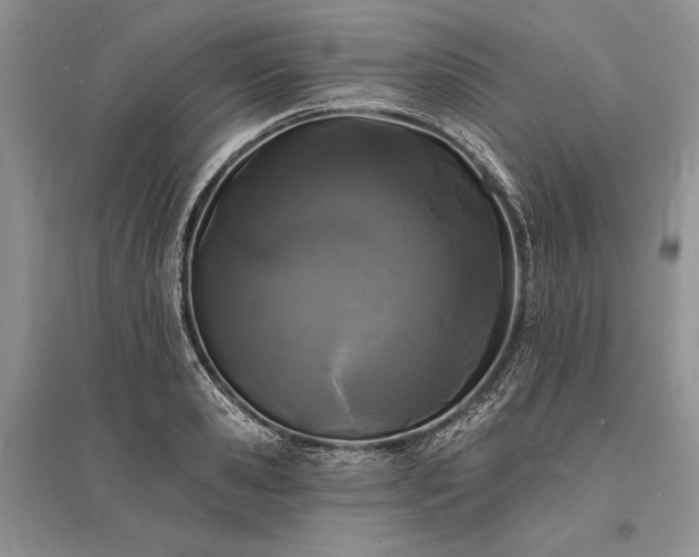 X0000096390941200801241259