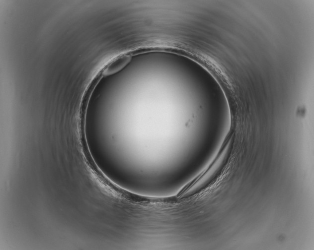 X0000096390942200801241259