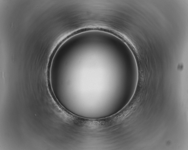 X0000096390943200801241259