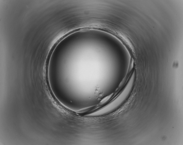 X0000096390944200801241259