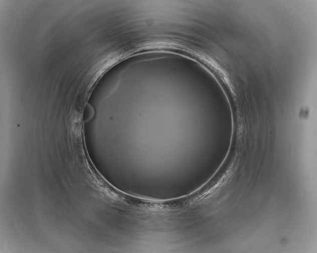 X0000096390945200801241259