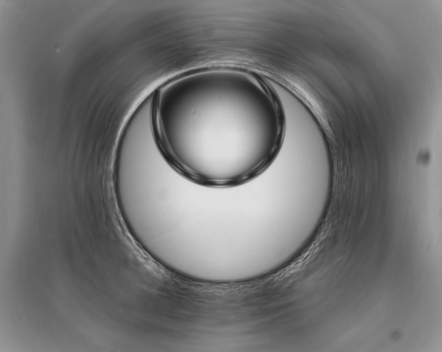 X0000096390948200801241259