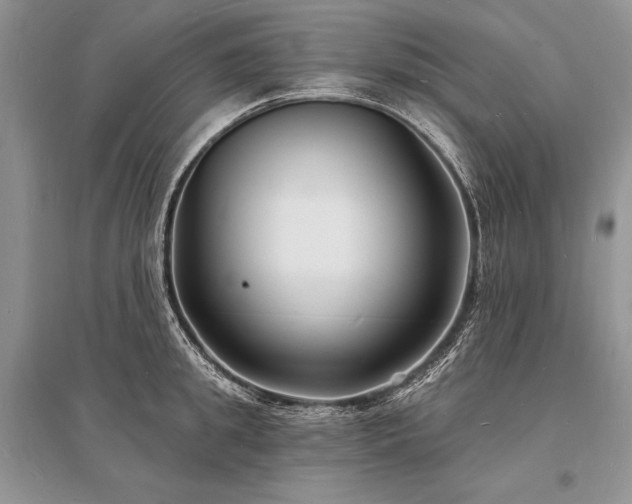X0000096390949200801241259