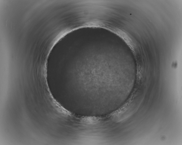 X0000096390950200801241259