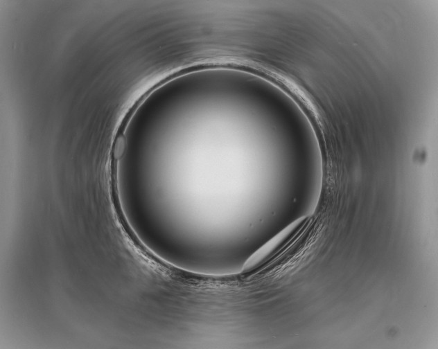 X0000096390951200801241259