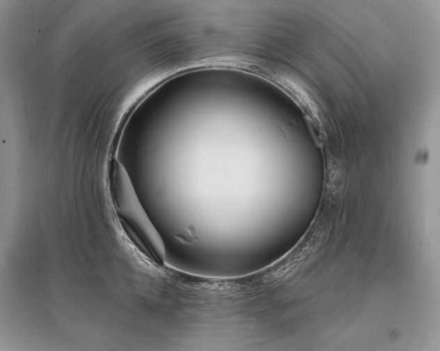 X0000096390952200801241259