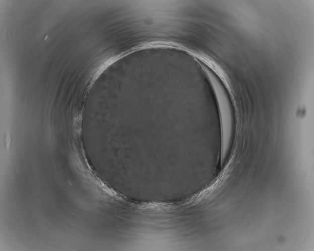 X0000096390953200801241259