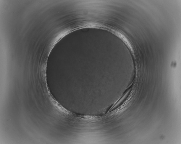 X0000096390954200801241259