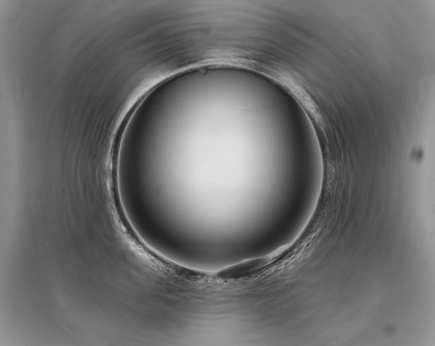 X0000096390955200801241259