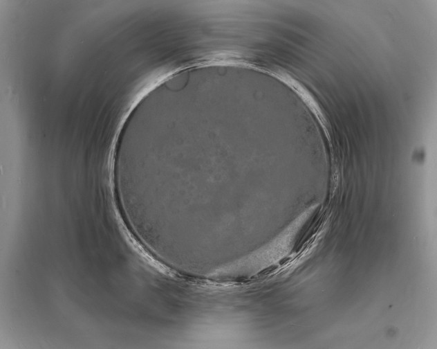 X0000096390957200801241259