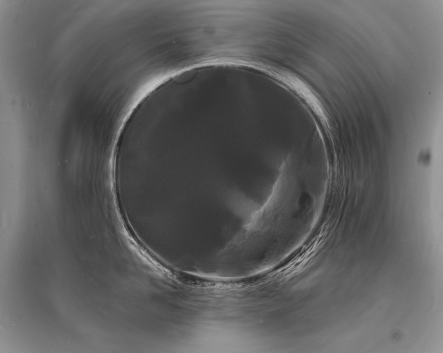 X0000096390958200801241259