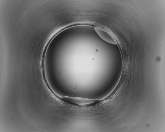 X0000096390959200801241259