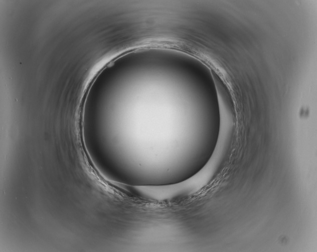 X0000096390960200801241259