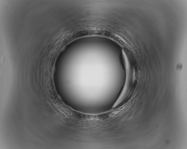 X0000096390961200801241258