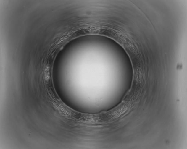 X0000096390962200801241258